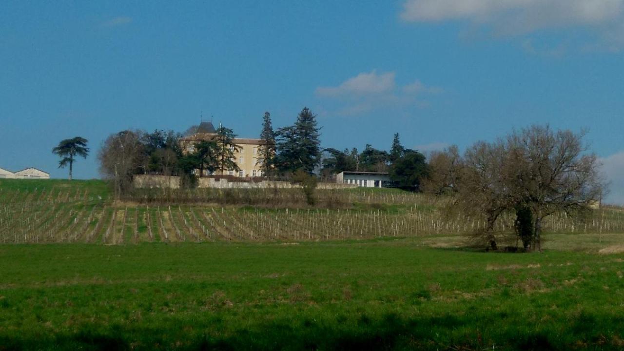Chateau De Mons Armagnac Caussens Экстерьер фото