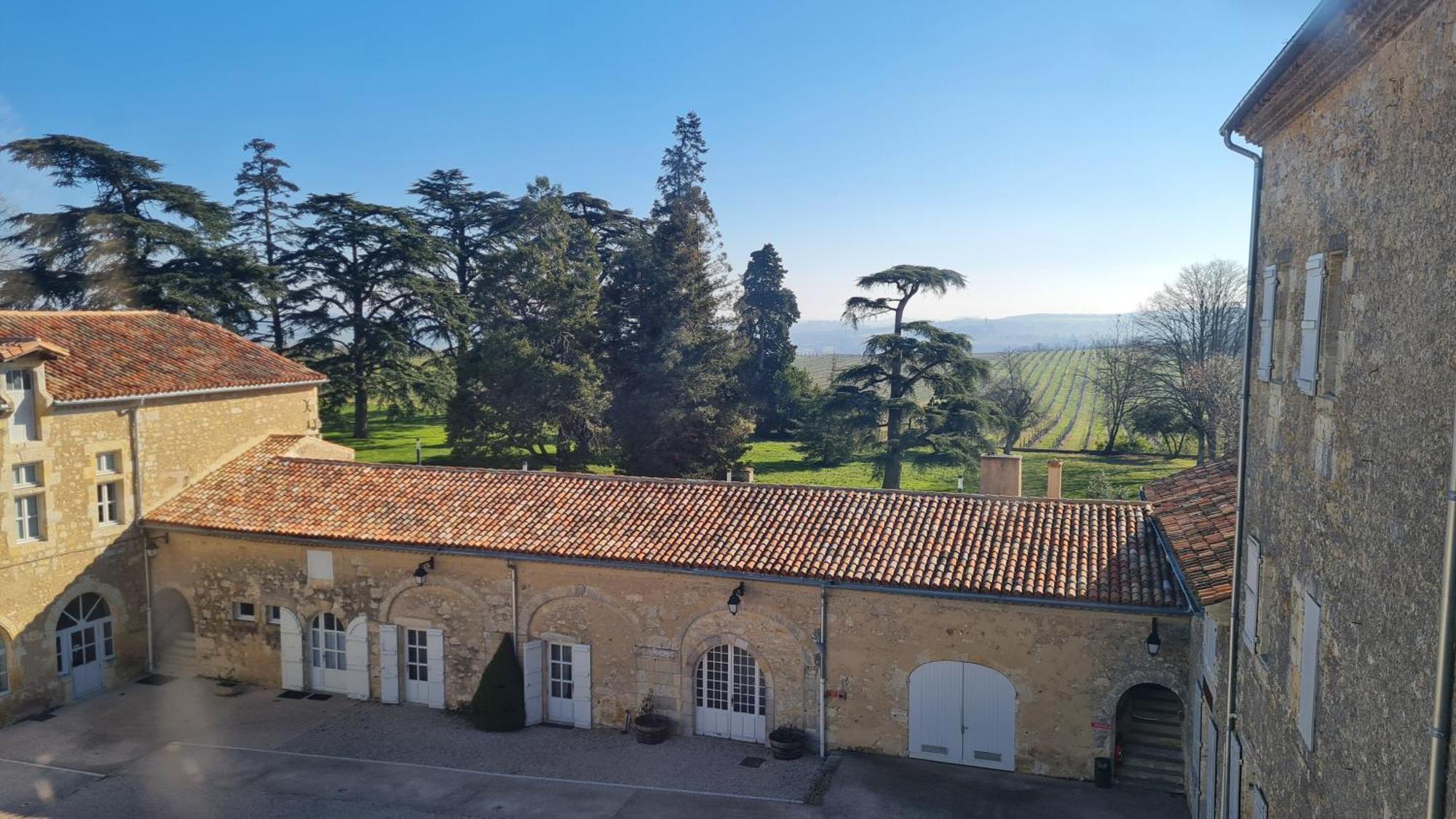 Chateau De Mons Armagnac Caussens Экстерьер фото